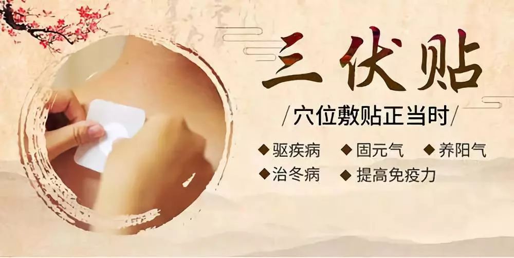關于三伏貼，你了解多少呢？